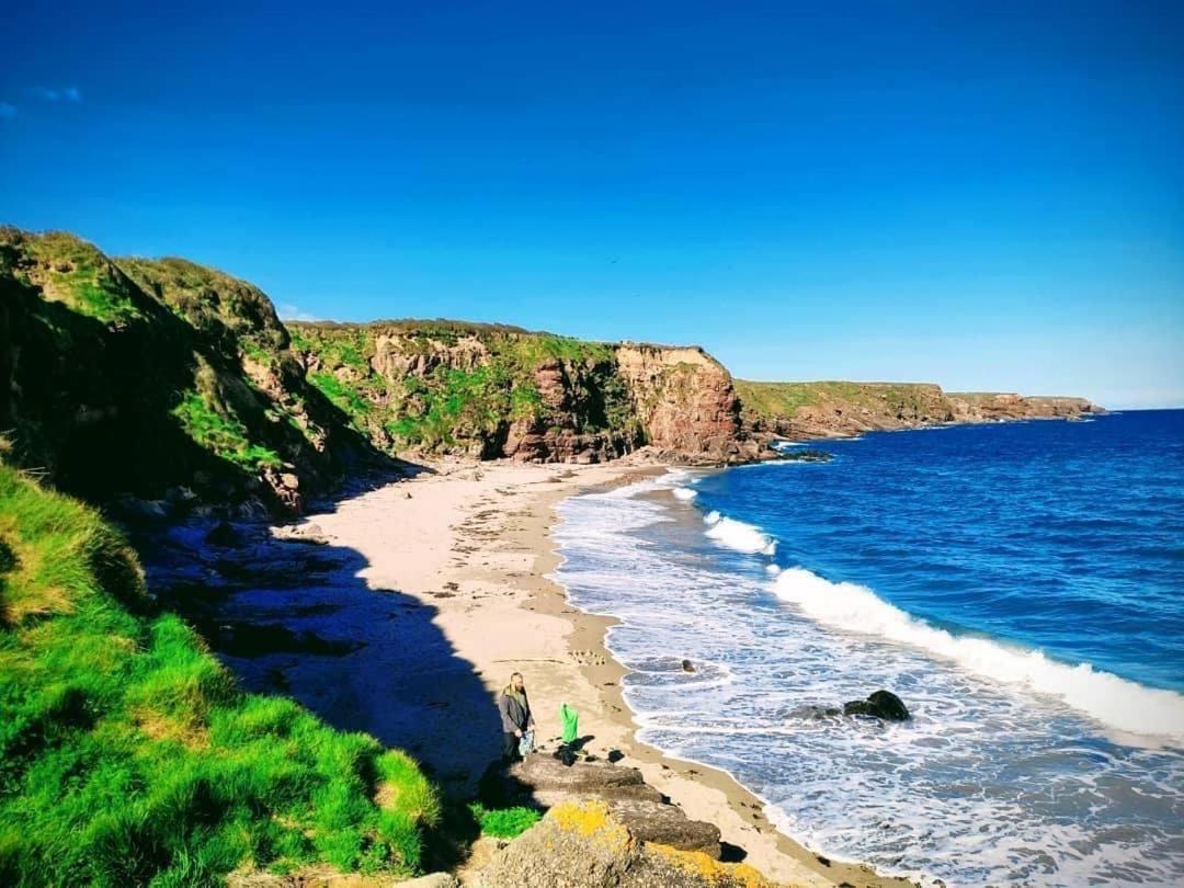 Ballyhack By The Sea Arthurstown Екстериор снимка
