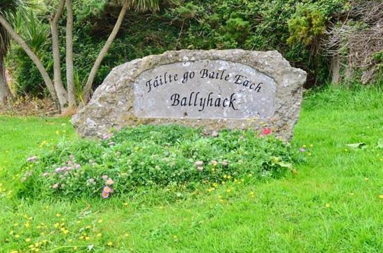 Ballyhack By The Sea Arthurstown Екстериор снимка